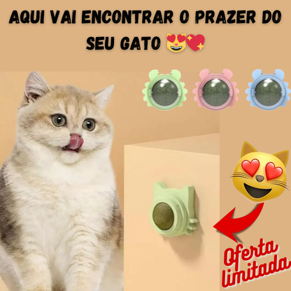 Bola de erva-dos-gatos rotativa